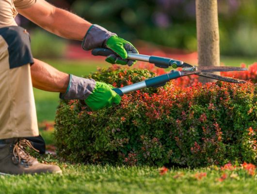 Professional garden maintenance South Brisbane — Gabe's Tree Services