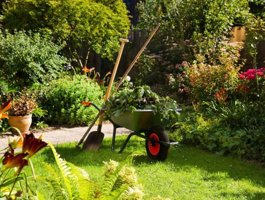 Garden maintenance South Brisbane — Gabe's Tree Services