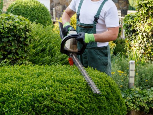 Garden clean-up service South Brisbane