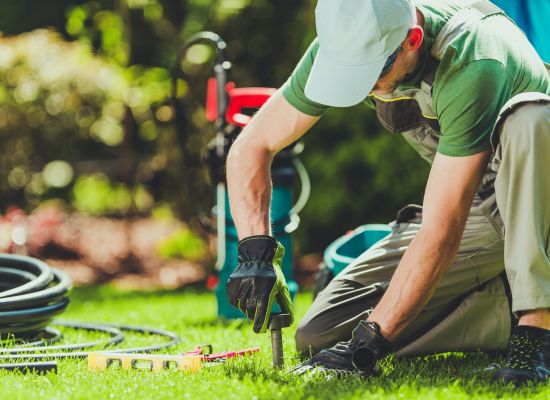 Garden maintenance service South Brisbane — Gabe's Tree Services