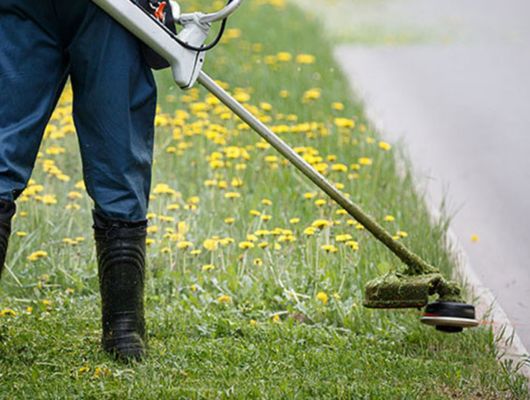 Garden maintenance and lawn care South Brisbane