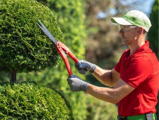 Professional hedge trimming South Brisbane — Gabe's Tree Services