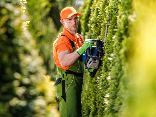 Hedge maintenance service South Brisbane — Gabe's Tree Services