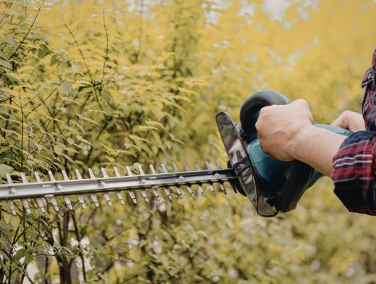 Hedge trimming project South Brisbane — Gabe's Tree Services
