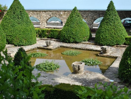 Hedge shaping and cutting Brisbane Southside