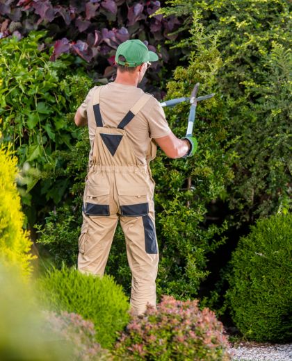 Professional hedge maintenance South Brisbane