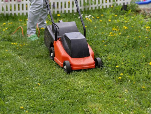 Professional lawn mowing South Brisbane — Gabe's Tree Services