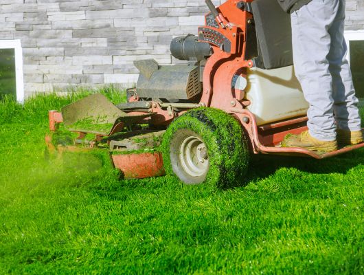 Commercial lawn mowing South Brisbane — Gabe's Tree Services