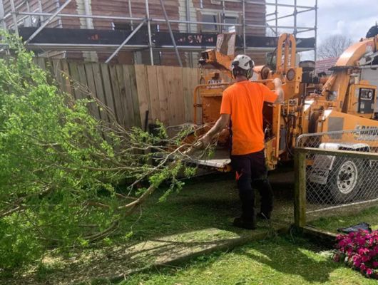 Mulching and wood chipping South Brisbane — Gabe's Tree Services