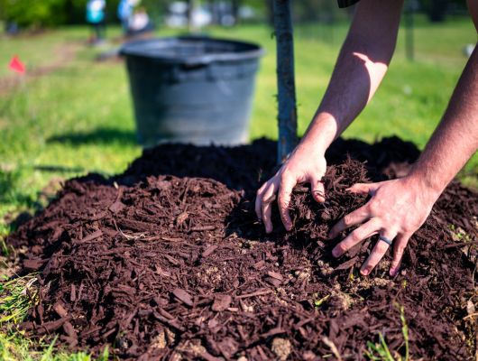 Mulching service South Brisbane — Gabe's Tree Services