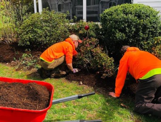 Green waste removal South Brisbane