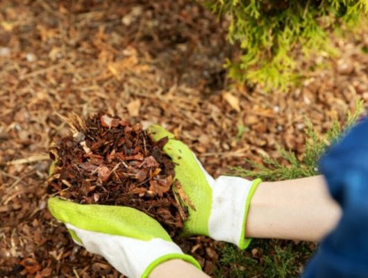 Professional mulching and chipping South Brisbane