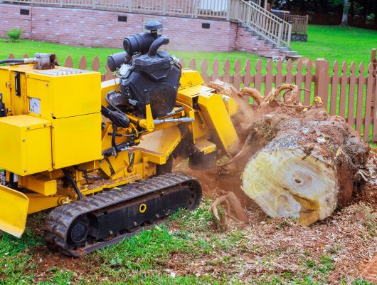 Tree stump removal Brisbane Southside