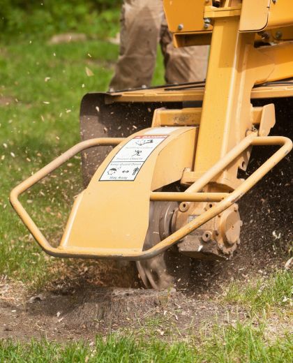 Stump grinding finished result South Brisbane