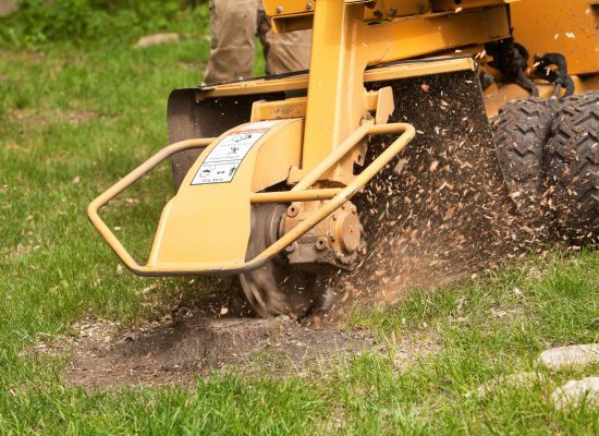 Stump grinding and removal service Brisbane — Gabe's Tree Services