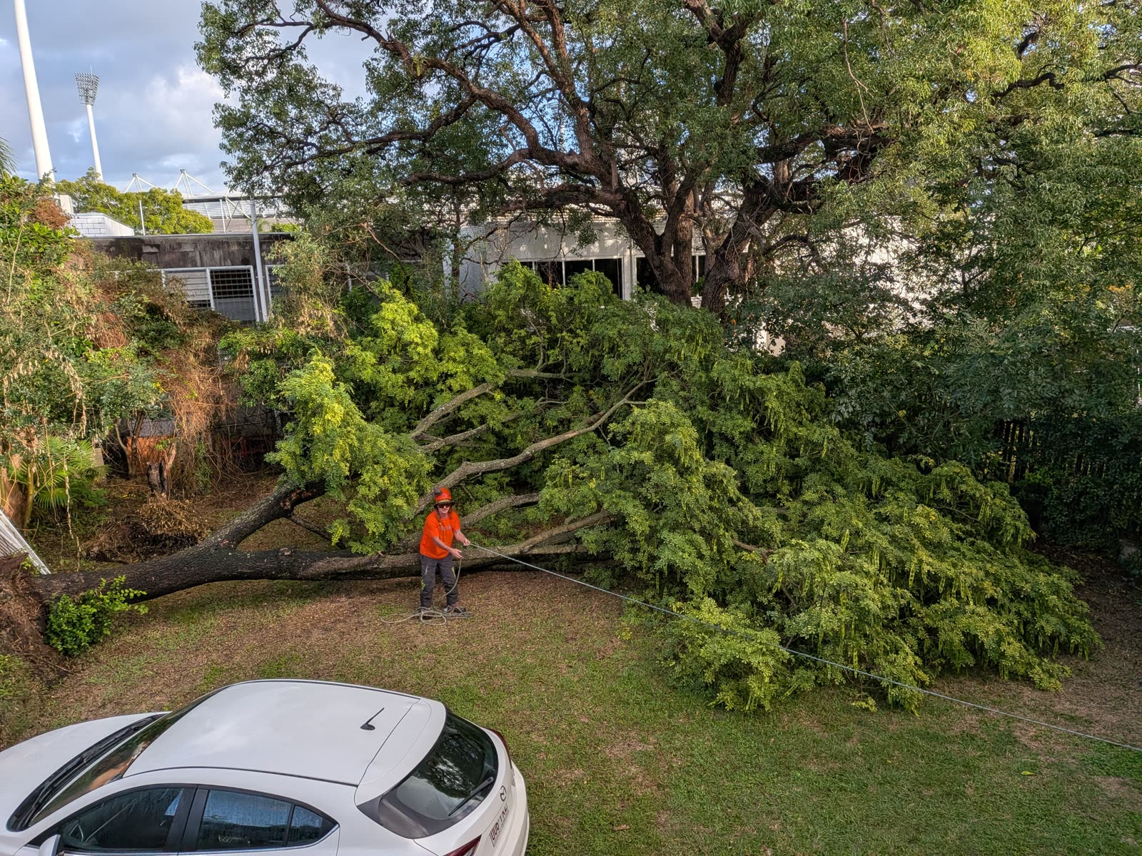Arborist beside a large fallen tree across a backyard after storm damage in Brisbane